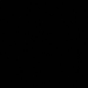 Meet your Posher, Kierra